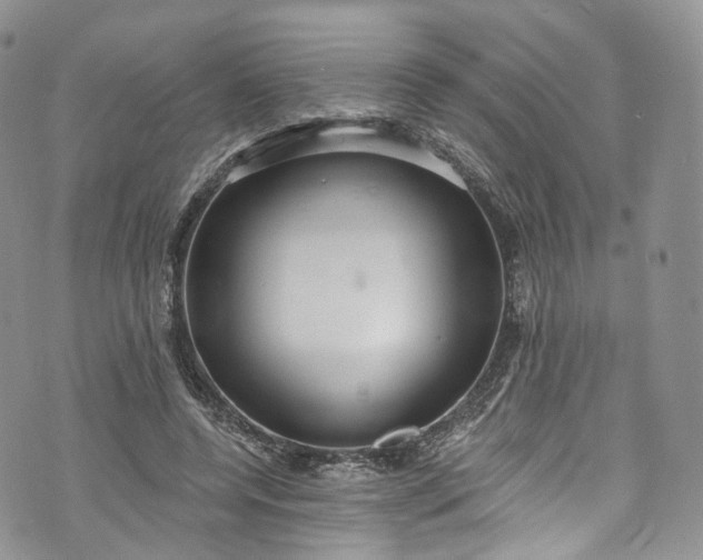 X0000072990544200608041311