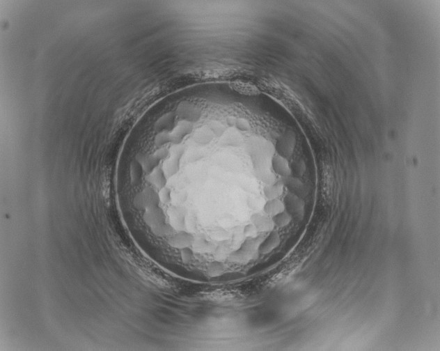 X0000072990545200608041311