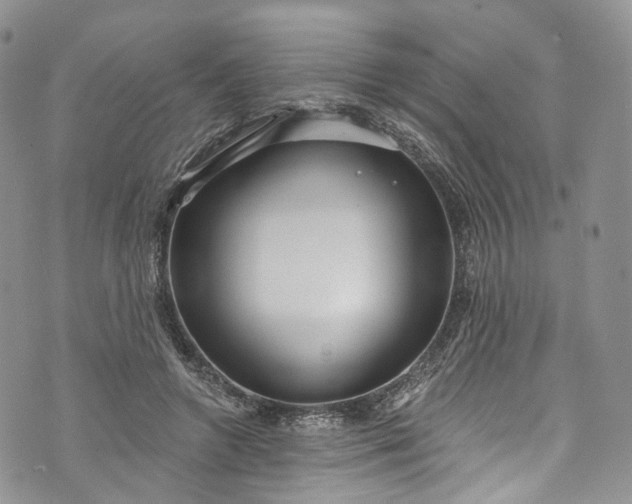 X0000072990546200608041311