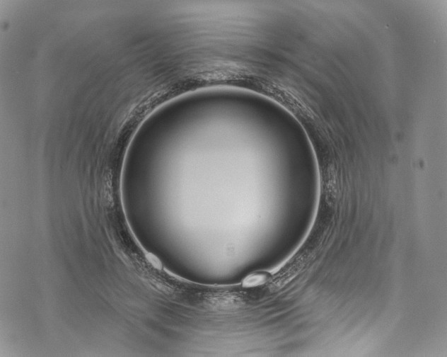 X0000072990547200608041311