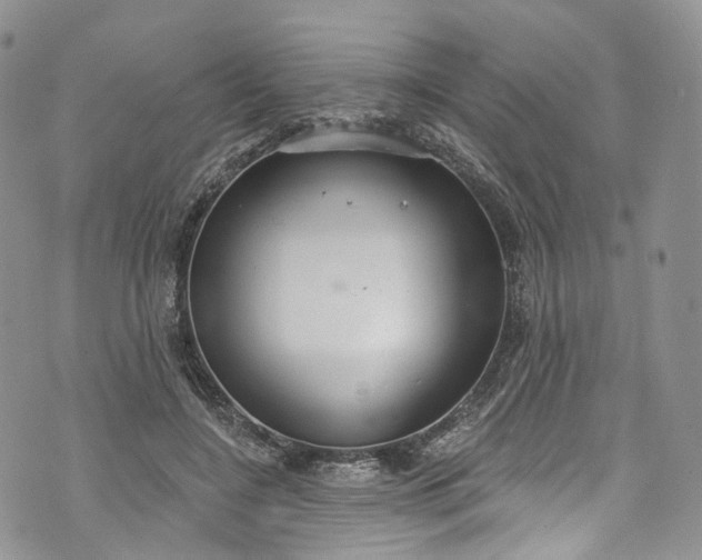 X0000072990548200608041311