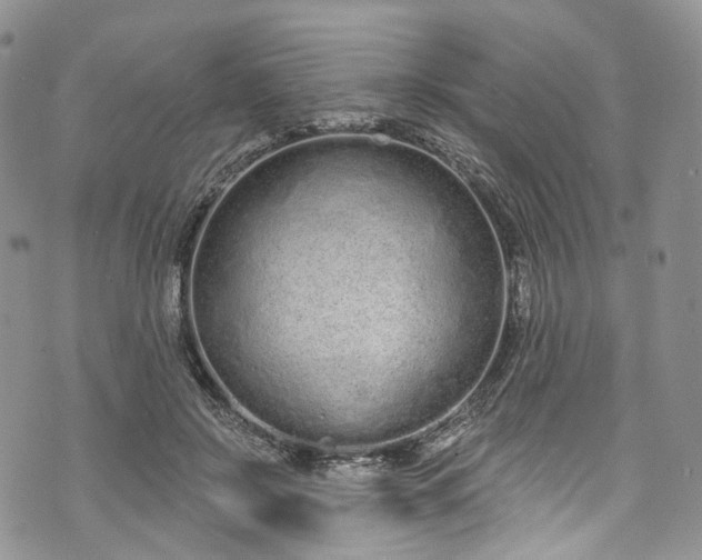 X0000072990550200608041311