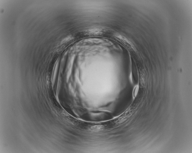 X0000072990551200608041311