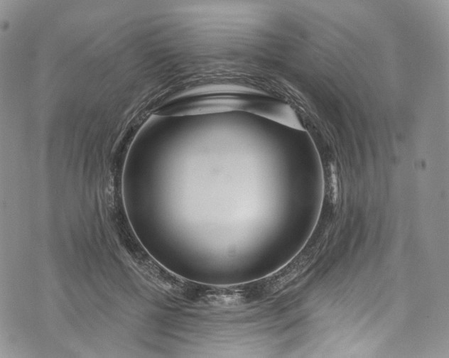 X0000072990552200608041311