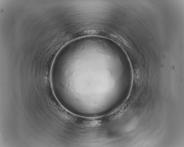 X0000072990553200608041311