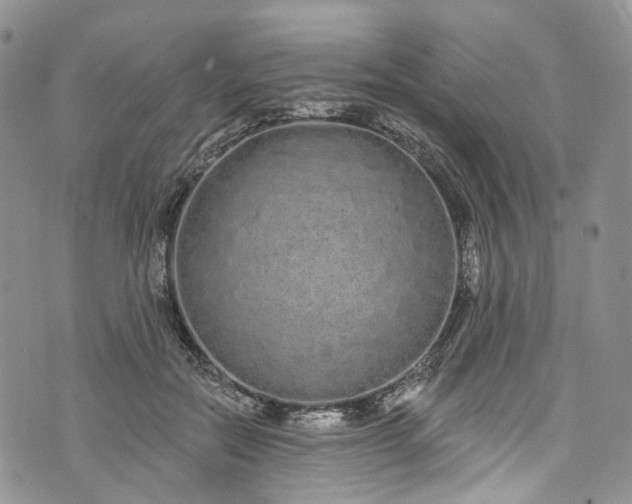 X0000072990554200608041311