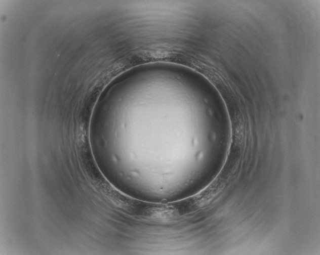 X0000072990555200608041311