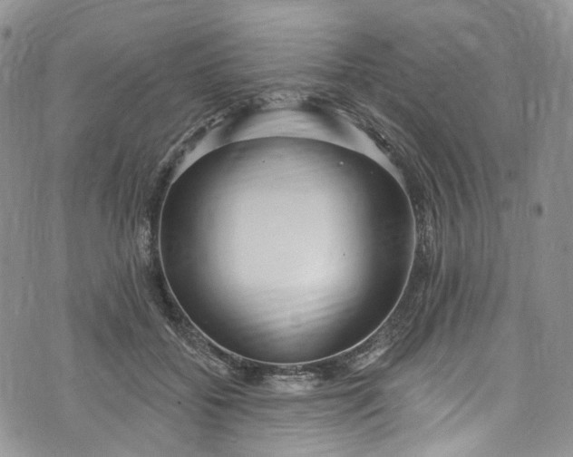 X0000072990556200608041311