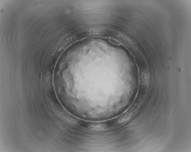 X0000072990557200608041311