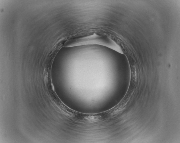 X0000072990558200608041311