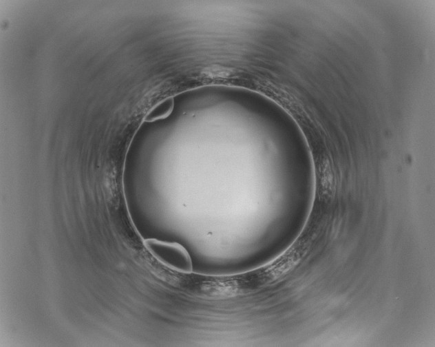 X0000072990559200608041311