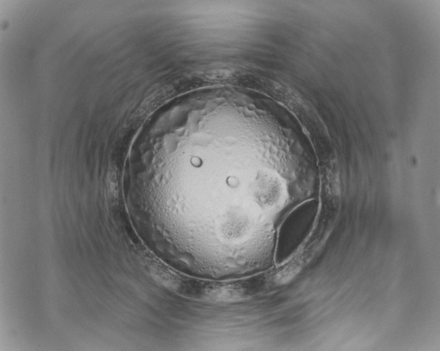 X0000072990561200608041311