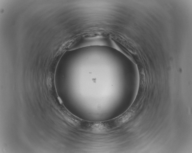 X0000072990562200608041311