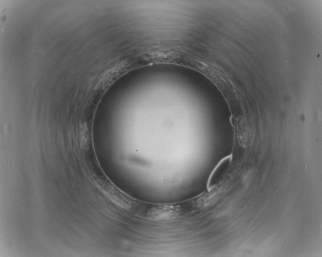 X0000072990563200608041311