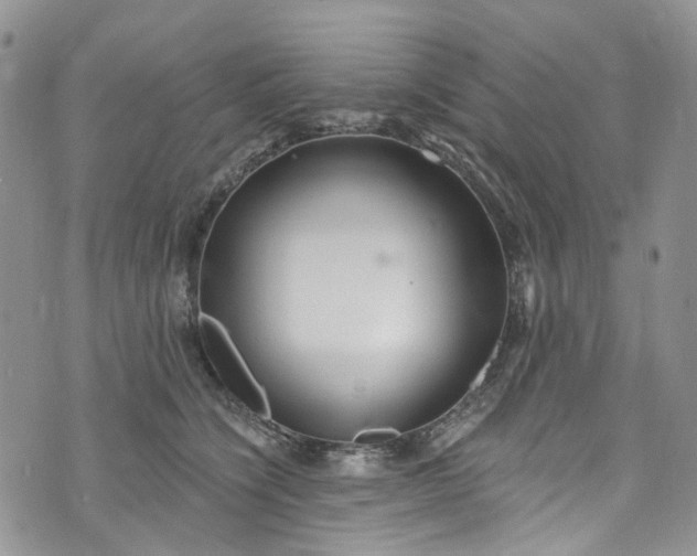 X0000072990564200608041311