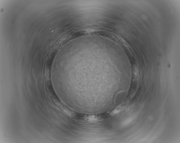 X0000072990565200608041311