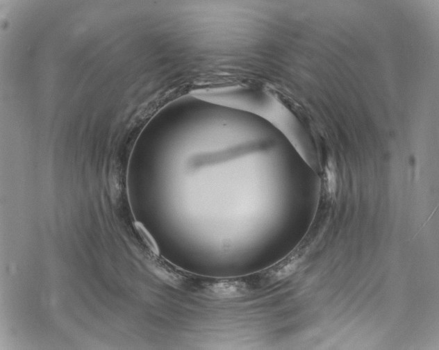 X0000072990566200608041311