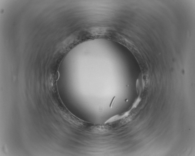 X0000072990567200608041311