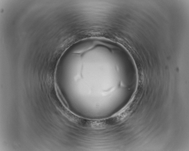 X0000072990568200608041311