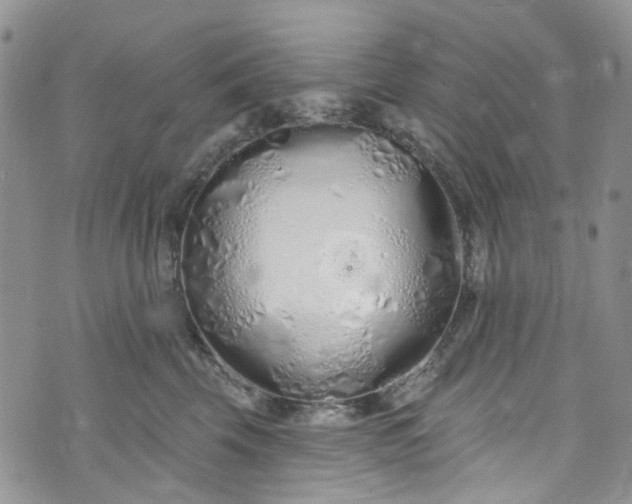 X0000072990569200608041311