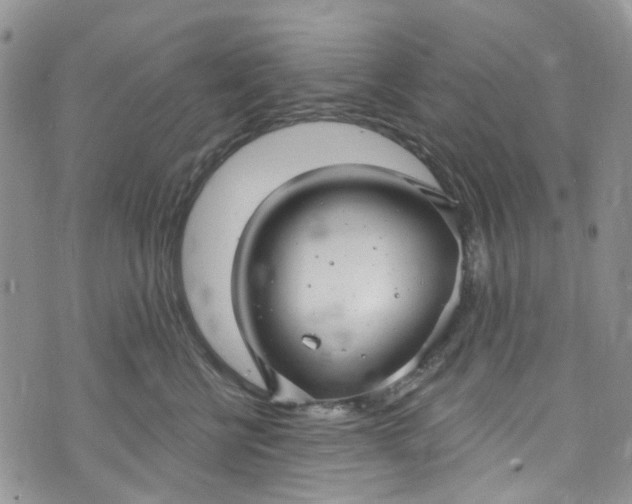 X0000072990570200608041311