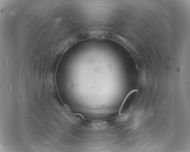 X0000072990571200608041311