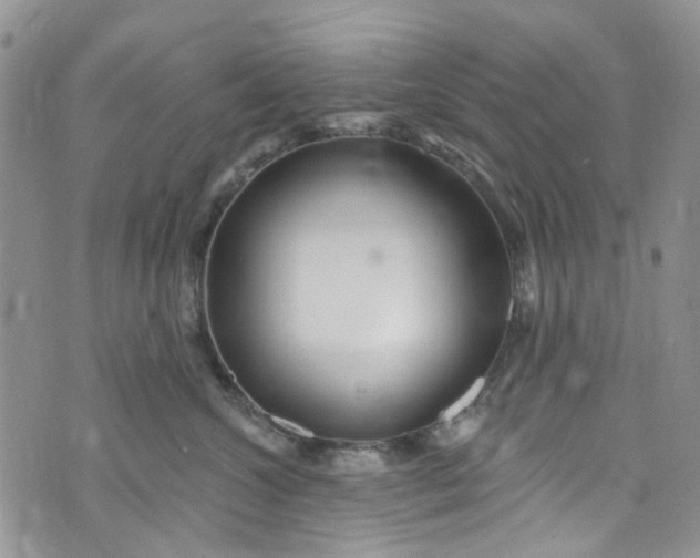 X0000072990572200608041311