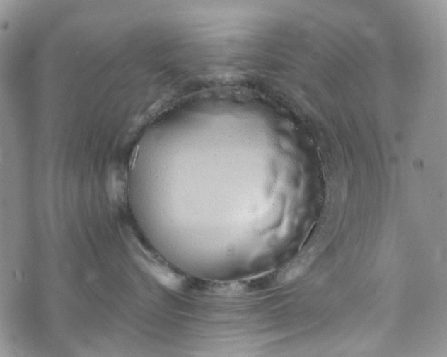 X0000072990576200608041311