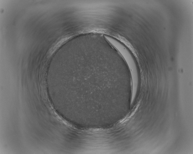 X0000072990577200608041310