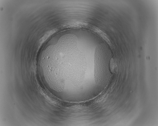 X0000072990578200608041310