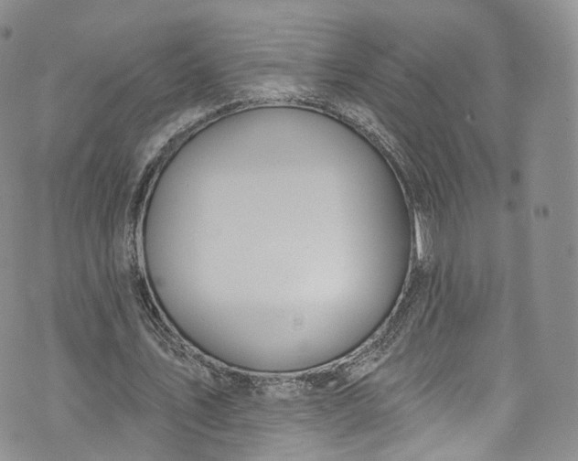 X0000072990579200608041310