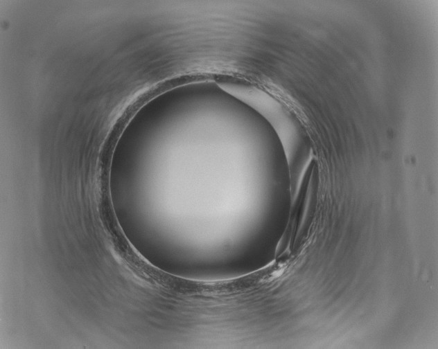 X0000072990580200608041310