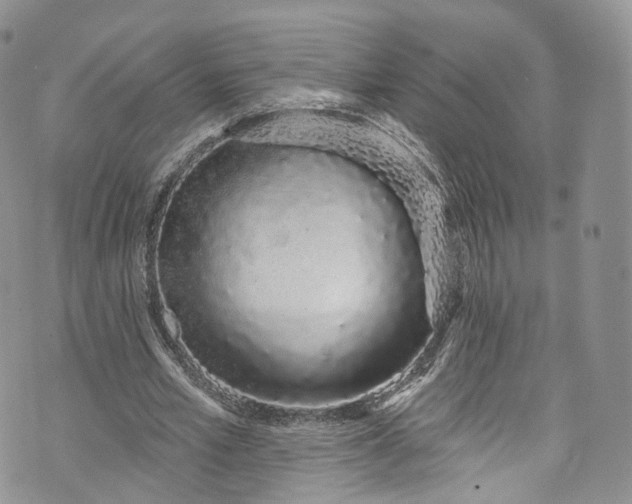 X0000072990581200608041310