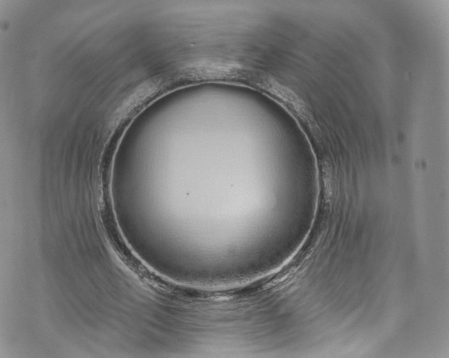 X0000072990582200608041310