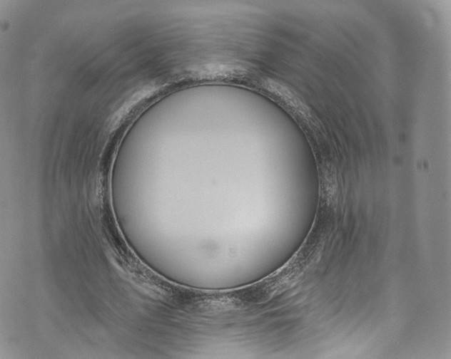 X0000072990583200608041310