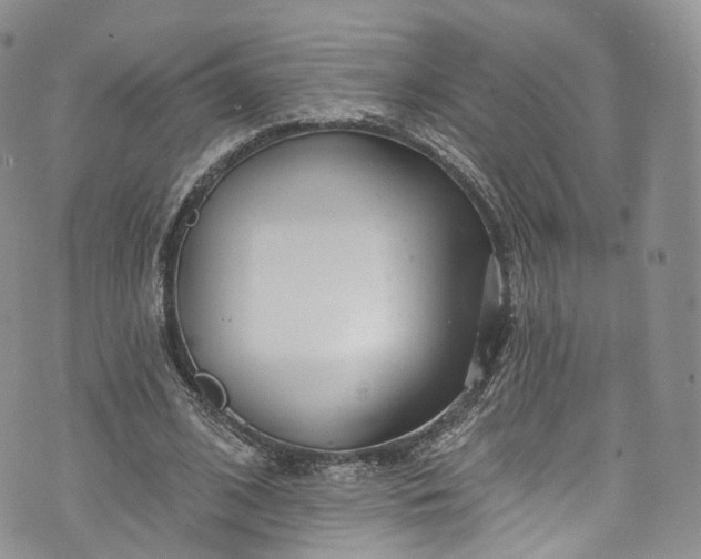 X0000072990584200608041310