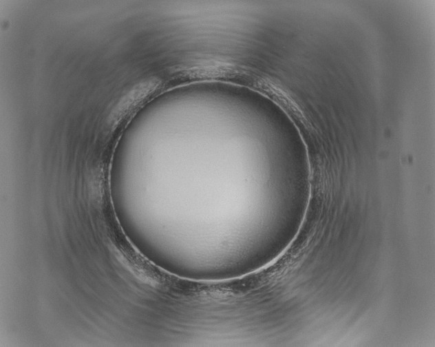 X0000072990586200608041310