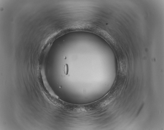 X0000072990588200608041310