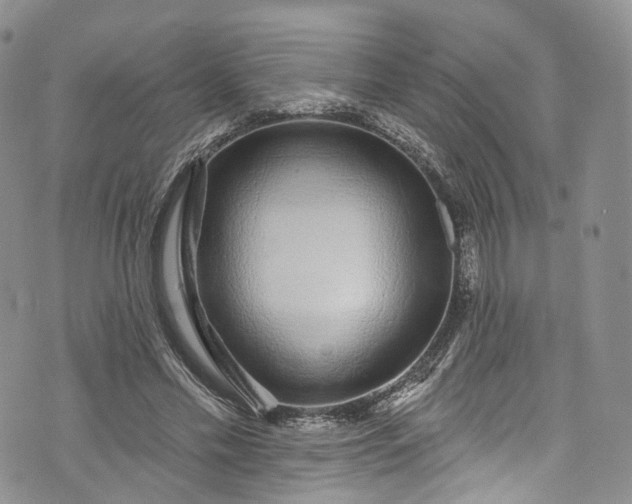 X0000072990589200608041310