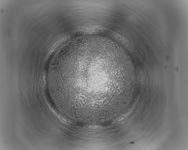 X0000072990590200608041310