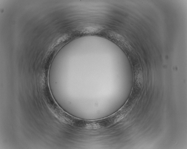 X0000072990591200608041310