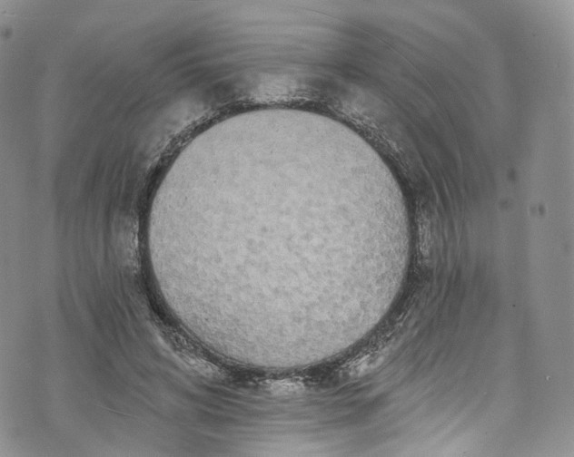 X0000072990592200608041310