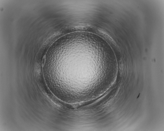 X0000072990593200608041310