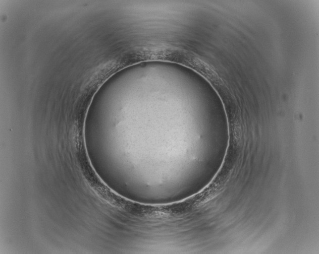 X0000072990594200608041310