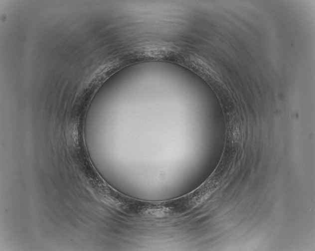 X0000072990595200608041310