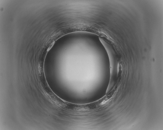 X0000072990597200608041310