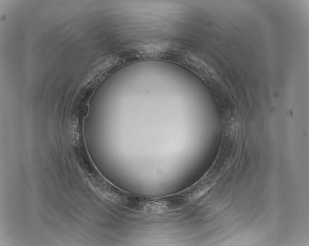 X0000072990599200608041310