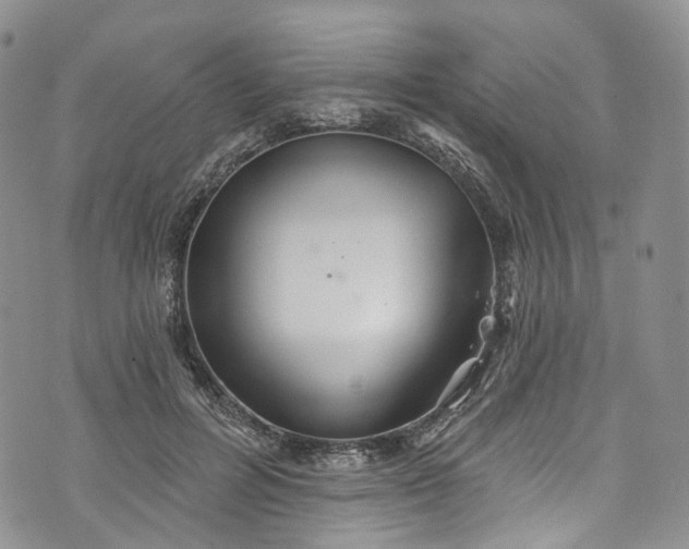 X0000072990600200608041310