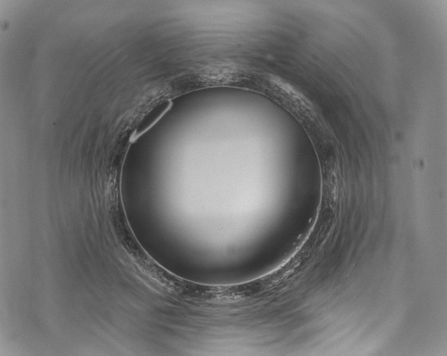 X0000072990601200608041310