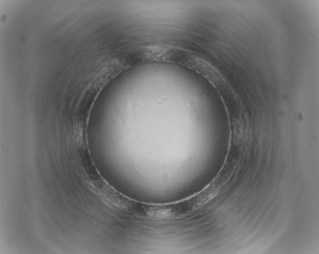 X0000072990602200608041310